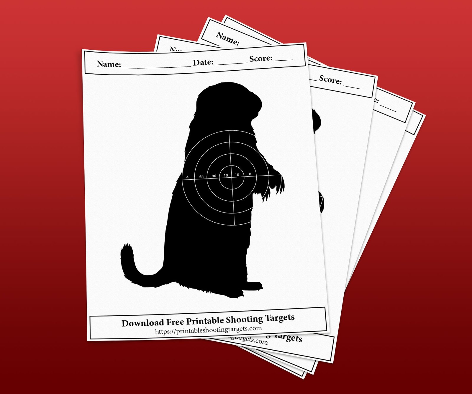 Printable Groundhog Shooting Targets